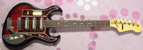 HyLo Ibanez 6