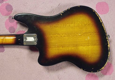 Zenon Artist Supreme 5