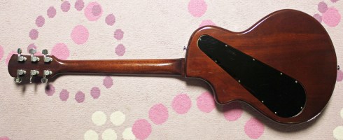 Check out THAT control cover!